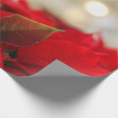 Papier Cadeau Noël Poinsettia (Coin)