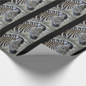 Papier Cadeau Noël Zebra (Coin)