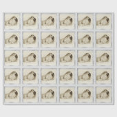 Papier Cadeau Nouveau Modèle photo bébé Silver Grey (Plat)