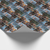 Papier Cadeau Nova Scotia Duck Toller Christmas Snow Holiday (Coin)