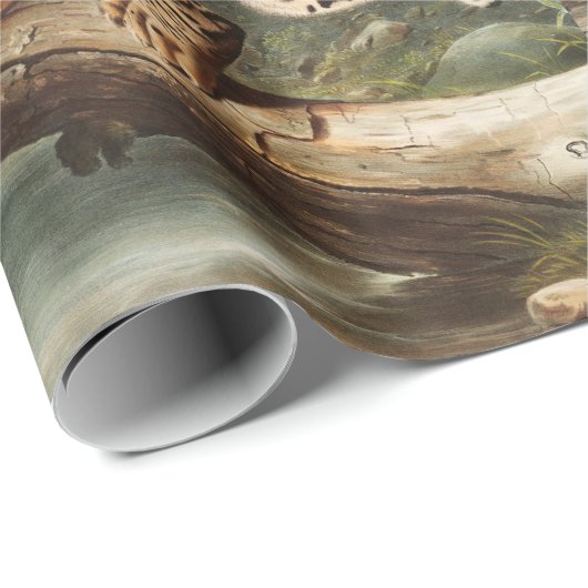 Papier Cadeau Ocelot, chat léopard (Felis pardalis) Illustration (Coin rond)