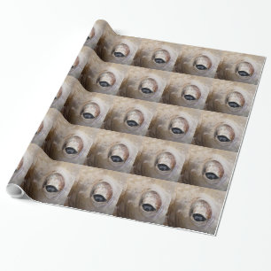 Papier Cadeau OEil octopique