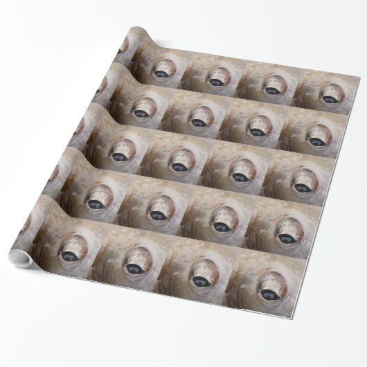 Papier Cadeau OEil octopique (Déroulé)