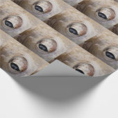 Papier Cadeau OEil octopique (Coin)