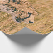 PAPIER CADEAU OEIL SUR LA CIBLE - PHOTO D'ANIMAUX DE LEOPARD (Coin)