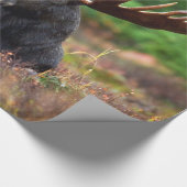 Papier Cadeau Oie (Coin)