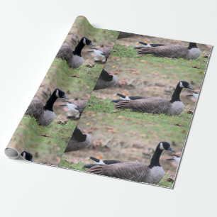 Papier Cadeau Oie
