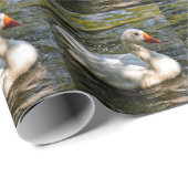 Papier Cadeau Oie blanche nageant dans l'eau (Coin rond)