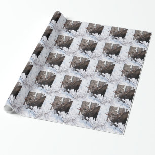 Papier Cadeau Oie chilienne