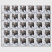 Papier Cadeau Oie chilienne (Plat)