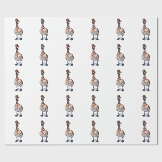 Papier Cadeau Oie d'avion (Plat)