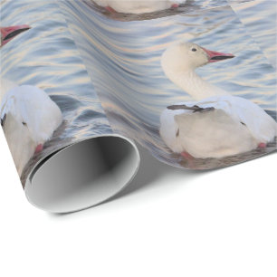 Papier Cadeau Oie des neiges