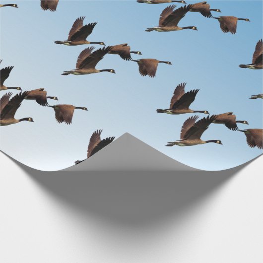 Papier Cadeau Oies canadiennes pilotant ensemble la conception (Coin)