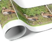 Papier Cadeau Oies égyptiennes et poussins (Coin rond)