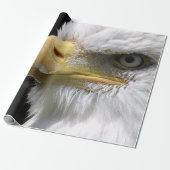 PAPIER CADEAU OISEAU D'AGLE (Déroulé)