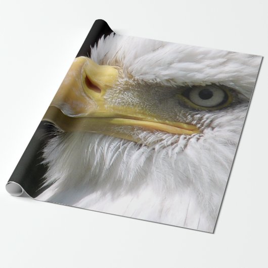 PAPIER CADEAU OISEAU D'AGLE (Déroulé)