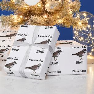 Papier Cadeau Oiseau de Pluvier Oiseau drôle Oiseau