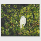 Papier Cadeau Oiseau d'eau blanc de Floride dans le marais de Li (Plat)