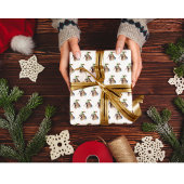 Papier Cadeau Oiseau Kiwi mignon en Casquette Elfe de Noël