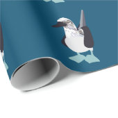 Papier Cadeau Oiseau Marin à Pieds Bleus (Coin rond)