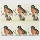 Papier Cadeau Oiseau vintage (Plat)