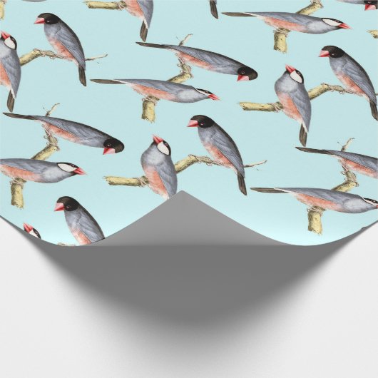 Papier Cadeau Oiseaux (Coin)