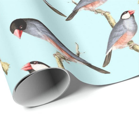 Papier Cadeau Oiseaux (Coin rond)