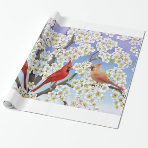 Papier Cadeau Oiseaux cardinaux dans l'enveloppe de cadeau de