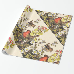 Papier Cadeau Oiseaux chanteurs Robin printanier vintage Botaniq