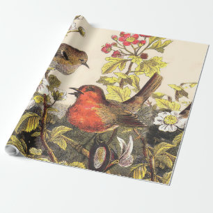 Papier Cadeau Oiseaux chanteurs Robin printanier vintage Botaniq