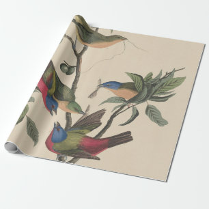 Papier Cadeau Oiseaux colorés de Audubon vintage, Peinture de Br