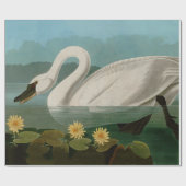 Papier Cadeau Oiseaux communs de cygne d'Amérique Audubon (Plat)