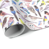 Papier Cadeau Oiseaux d'Amérique - animaux de compagnie et oisea (Coin rond)