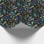 Papier Cadeau Oiseaux d'Amérique - animaux de compagnie et oisea (Coin)