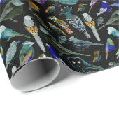 Papier Cadeau Oiseaux d'Amérique - animaux de compagnie et oisea (Coin rond)