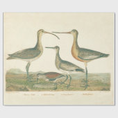 Papier Cadeau Oiseaux de marais Courlis Oiseaux (Plat)