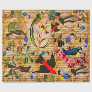 Papier Cadeau OISEAUX DE PRINTEMPS, PLUMES, FRUITS Notes de musi