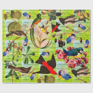 Papier Cadeau OISEAUX DE PRINTEMPS, PLUMES, FRUITS Notes de musi