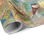 Papier Cadeau Oiseaux du 19ème siècle de l'Amérique (Coin rond)