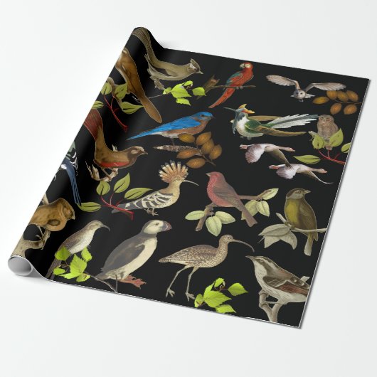 Papier Cadeau Oiseaux et plus (Déroulé)