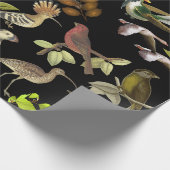 Papier Cadeau Oiseaux et plus (Coin)