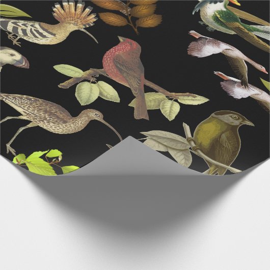 Papier Cadeau Oiseaux et plus (Coin)