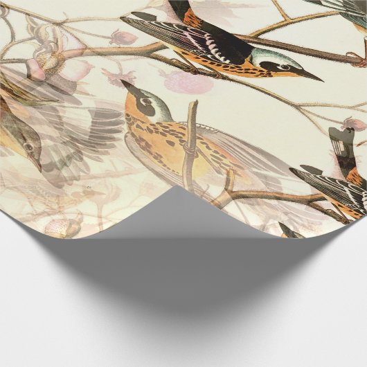 Papier Cadeau Oiseaux perchés (Coin)