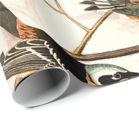 Papier Cadeau Oiseaux perchés (Coin rond)
