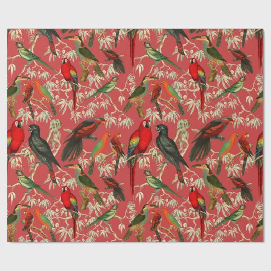 Papier Cadeau oiseaux vintages (Plat)