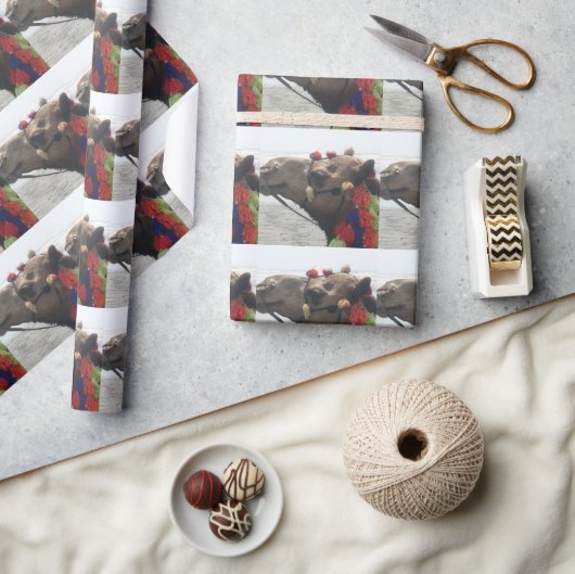 Papier Cadeau Oman ! Mascate (Artisanat)