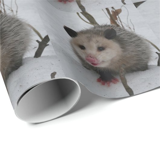 Papier Cadeau Opossum (Coin rond)