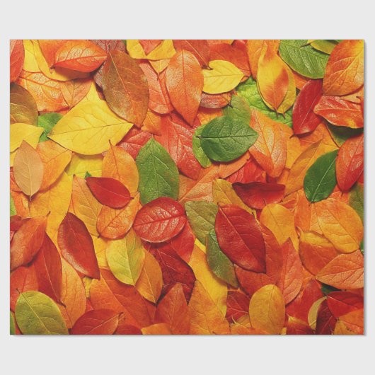 Papier Cadeau Or orange rouge et feuille vert d'ovale d'automne (Plat)