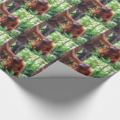 Papier Cadeau Orang-outan (Coin)