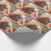 Papier Cadeau Orang-outan (Coin)